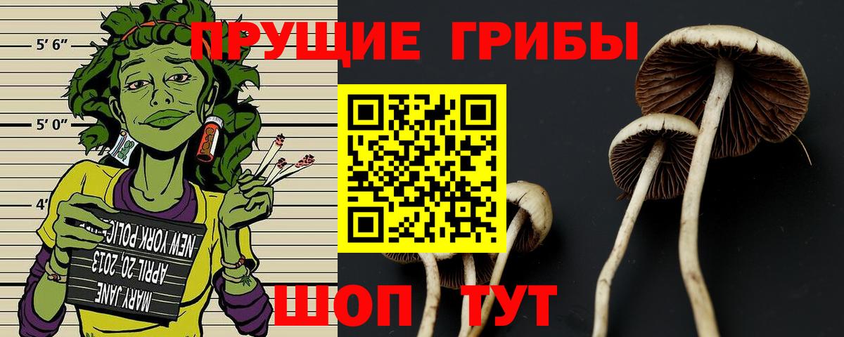 Галлюциногенные грибы MAGIC MUSHROOMS Тара