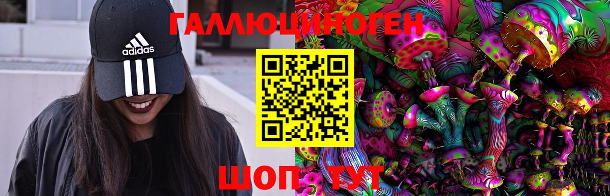 Тара  закладки  Вход с VPN  Псилоцибиновые грибы мицелий 